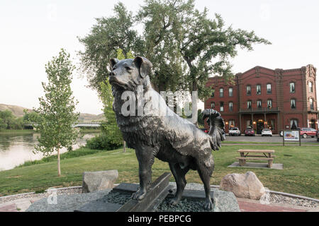 Statue von Hund Shep von Bob Scriver in Fort Benton, Montana, USA Stockfoto