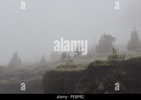 Aussicht auf dem Weg nach oben zum Vulkan Tajumulco in Guatemala. Stockfoto