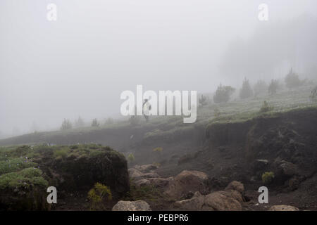 Zu Fuß durch die Cloud Nebel der Tajumulco Guatemala, 13. Juli 2018 Stockfoto