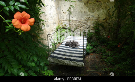 Abtei Sainte-Marie de Villelongue, Saint-Martin-le-Vieil, Südfrankreich. Stockfoto