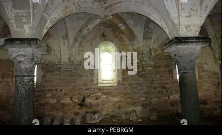 Abtei Sainte-Marie de Villelongue, Saint-Martin-le-Vieil, Südfrankreich. Stockfoto