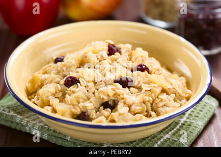 Frische hausgemachte vegan gekocht Apple, Haferflocken, Hafergrütze, Cranberry und Zimt Zutaten in der Rückseite (selektive Fokus) Stockfoto
