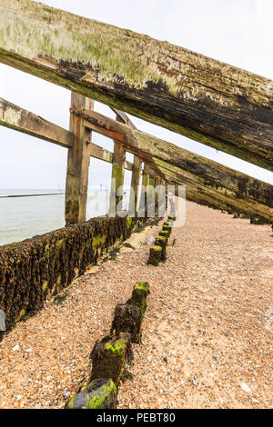 Umfangreiche Holz- groyne am West Strand neben dem Fluss Arun, Littlehampton, einem kleinen Ferienort an der Südküste in West Sussex, UK im Sommer Stockfoto