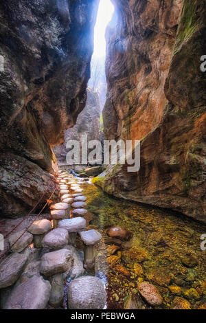 Creek Trail in einer engen Schlucht, Niubeiliang National Forest Park, Shaanxi, China Stockfoto