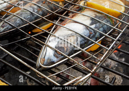 Grillen frische Makrelen mit Zitrone auf dem Grill in Großbritannien Stockfoto