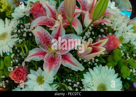 Bunte Blumensträuße Blumen für den Verkauf auf dem Markt Provence Frankreich Abschaltdruck Stockfoto