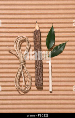 Blick von oben auf die Zeichenfolge, Holz- Bleistift, Graphit, Bleistift und grüne Blätter auf Karton Stockfoto