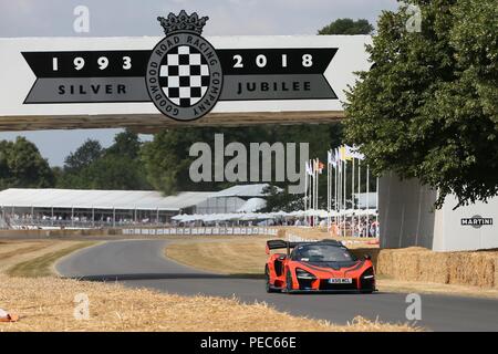 Die Supercars auf die Hillclimb in Goodwood Festival der Geschwindigkeit am Tag 1 Mit: McLaren Senna Wo: London, Großbritannien Wann: 12 Aug 2018 Quelle: Michael Wright/WENN.com Stockfoto