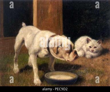 Arthur Heyer - eine Bulldogge mit weißen Persian Cat. Stockfoto