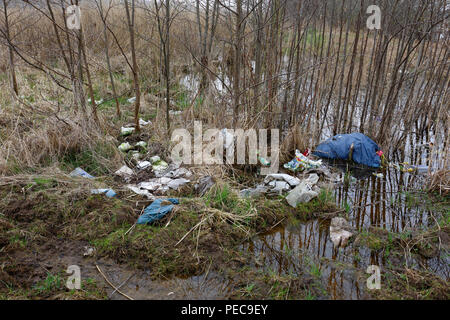 Übrig gebliebene plastik Müll am Ufer der Peene, Müll in der Natur, Naturpark Peental, Mecklenburg-Vorpommern Stockfoto