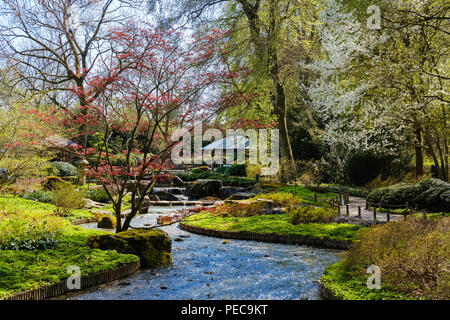 Japangarten, japanischer Garten, Botanischer Garten, Augsburg, Schwaben, Bayern, Deutschland Stockfoto