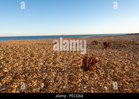 South Lancing ist ein Kiesstrand zwischen Shoreham-by-Sea und Worthing Stockfoto