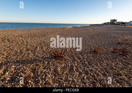 South Lancing ist ein Kiesstrand zwischen Shoreham-by-Sea und Worthing Stockfoto