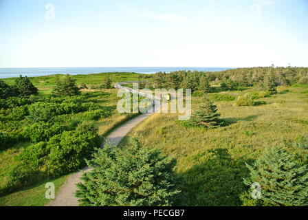 Eine Luftaufnahme von einen Holzsteg, Greenwich Dunes Trail, in Greenwich National Park, Prince Edward Island, Kanada Stockfoto