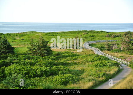 Eine Luftaufnahme von einen Holzsteg, Greenwich Dunes Trail, in Greenwich National Park, Prince Edward Island, Kanada Stockfoto