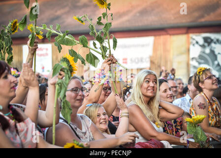 Deutschland, Ebern, Eyrichshhof Schloss, 26. Juli 2018, Dieter Thomas Kuhn & Band - Open Air 2018 - Bild: Menschenmenge vor dem Konzert. Credit: alamy Entert Stockfoto