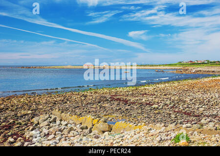 Einsame Hütten am Strand nahe dem Kvassheim Leuchtturm auf der norwegischen Südküste Stockfoto