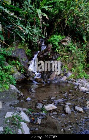 Wasserfall in LA ZUNGA - Ecuador Grenze - San Ignacio - Departement Cajamarca PERU Stockfoto
