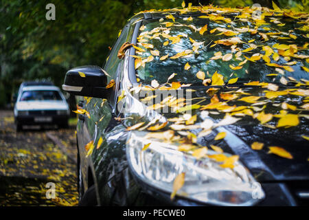 Schwarzes Auto mit Gelben Blättern. Jahreszeiten Konzept Stockfoto