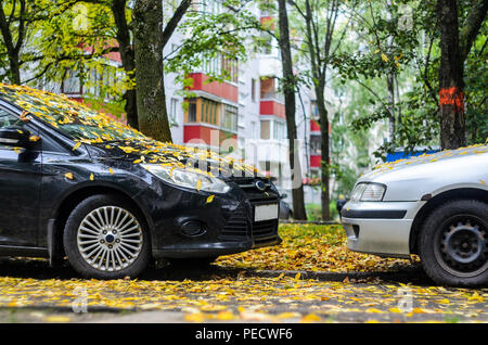 Zwei Autos Nase an Nase im Laub stehen. Jahreszeiten Konzept. Close-Parked Autos, Vorderansicht Stockfoto