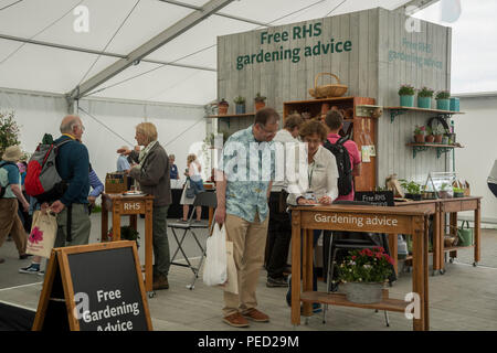 Die Menschen sprechen, Fragen, Beratung Gartenbau Experten & Empfang freier Hilfe & Beratung - RHS Chatsworth Flower Show, Derbyshire, England, UK. Stockfoto