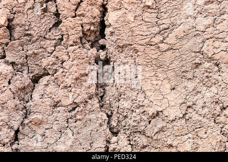 Abstrakte Textur der braune trockene Boden mit Rissen und Brüchen Stockfoto