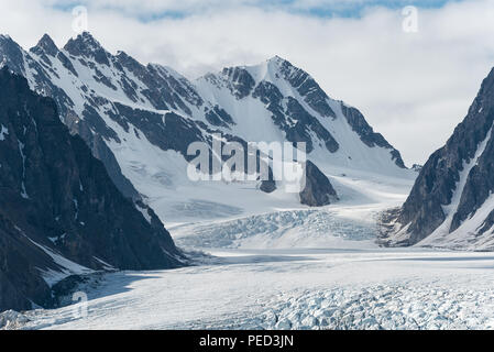 In Liefdefjorden, Svalbard, Norwegen. Liefdefjorden und schöne Emmabreen Stockfoto