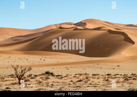 Sossusvlei (manchmal geschrieben Sossus Vlei) ist ein Salz und clay Pan von hohen roten Sanddünen, im südlichen Teil der Namib Wüste umgeben, in t Stockfoto