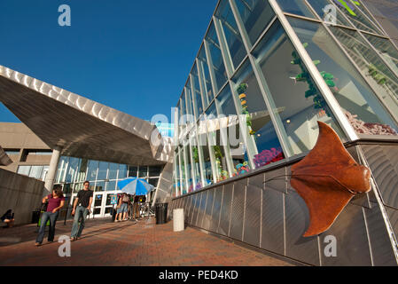 New England Aquarium in Boston, Suffolk County, Massachusetts, USA Stockfoto