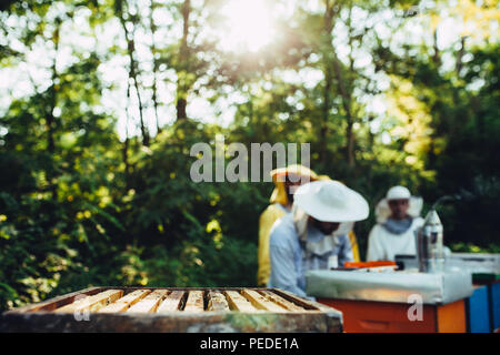 Nahaufnahme eines honey comb mit Imker im Hintergrund arbeiten mit schönen goldenen Stunde Licht Stockfoto