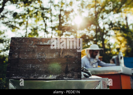 Schönes Licht auf Bienenhaus mit imker Arbeiten und Nahaufnahme einer Wabe Stockfoto