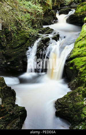 Afon Cynfal fließt durch den Ceunant Cynfal National Nature Reserve südlich von Llanffestiniog in North Wales. (Farbe) Stockfoto