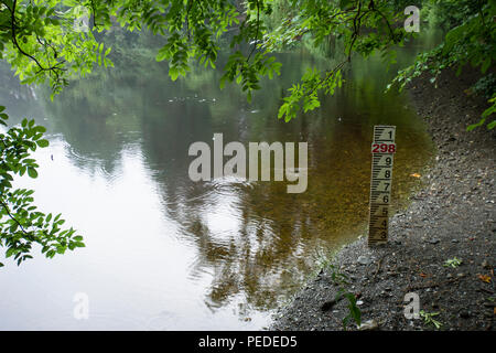 Regentropfen Ringe auf der niedrigen Wasserstand in einem kleinen See, der wegen einer längeren Bann des heißen Wetters in Großbritannien. Stockfoto