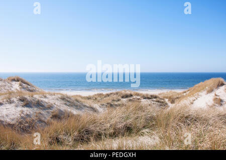 Dünen an der dänischen Nordseeküste den Strand von Köpingsvik Stockfoto