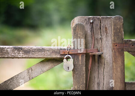 Geschlossenes Vorhängeschloss auf einer Landschaft hölzerne Tor und gatepost mit einem weichen, grünen Hintergrund. Stockfoto