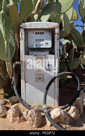 Feigenkaktus (Opuntia Kakteen Stricta) Surround eine alte Tankstelle in Solitaire, Namibia. Stockfoto