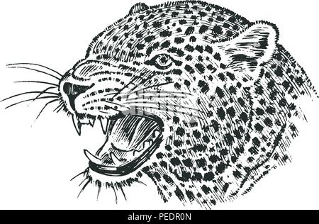 Japanische Wilde leopard. Portrait asiatischen Katze. Profil von Kopf oder Gesicht. Tattoo Artwork. Graviert Hand in alten Vintage Skizze gezeichnet. Vektor surrealen Illustration, Abzeichen, Drucken für t-shirt. Stock Vektor