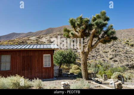 Foto im Death Valley Nationalpark in Kalifornien und Nevada in den Vereinigten Staaten von Amerika übernommen. Stockfoto