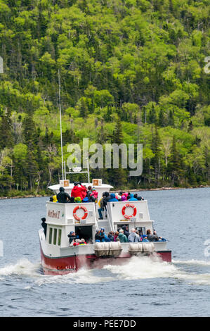 Touristen an Bord der West Brook II für einen Wasserfall & Wildlife watching Trip auf Western Brook Pond im Gros Morne National Park, Neufundland. Stockfoto