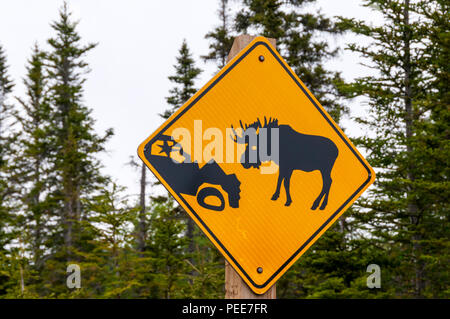 Elche Warnung Schild in Neufundland Stockfoto