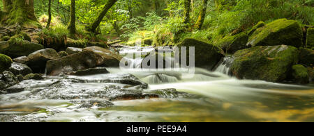 Golitha Falls ist eine Reihe von kleinen Wasserfälle in der Nähe von Bodmin Moor in der Nähe von Liskeard in Cornwall von Bäumen bedeckt. Lange Belichtung. Foto auf Juli genommen Stockfoto