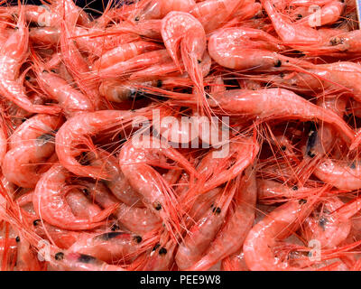 Frische Krabben am Fischmarkt, die Stadt Alicante. Costa Blanca, Spanien Stockfoto