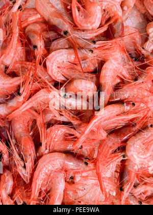 Frische Krabben am Fischmarkt, die Stadt Alicante. Costa Blanca, Spanien Stockfoto