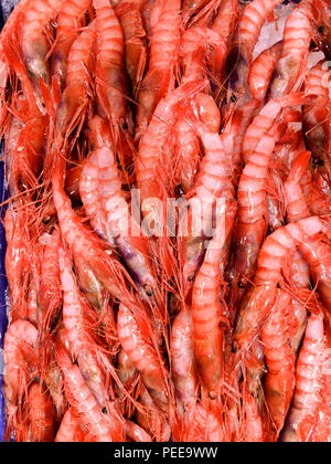 Frische Krabben am Fischmarkt, die Stadt Alicante. Costa Blanca, Spanien Stockfoto