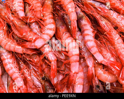 Frische Krabben am Fischmarkt, die Stadt Alicante. Costa Blanca, Spanien Stockfoto