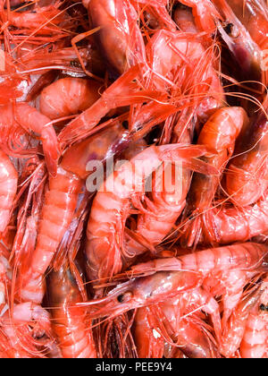 Frische Krabben am Fischmarkt, die Stadt Alicante. Costa Blanca, Spanien Stockfoto