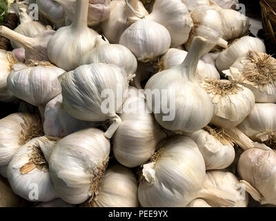 Haufen weißer Knoblauch Zwiebeln auf Markt Stockfoto