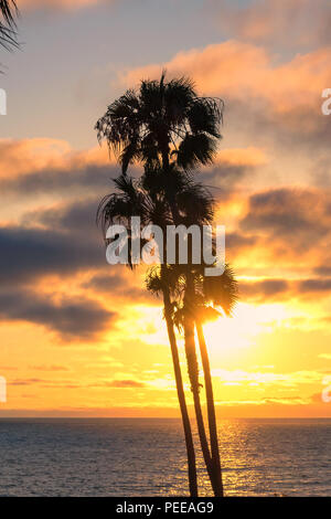 Schöner Strand mit Palmen bei Sonnenuntergang auf Jamaika Paradise Island. Stockfoto