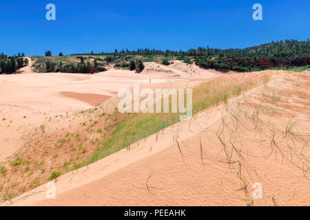 Sand Dune in Coral Pink Sand Dunes State Park, Kanab, Utah. Stockfoto