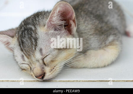 Candy Geschenk Ideen und Arrangements Stockfoto